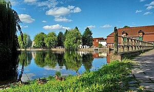 Mühlenteich und Stadtmühle Foto: Jana Koch
