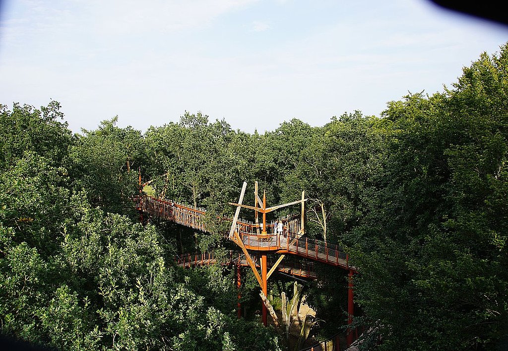 Nationales Naturmonument Ivenacker Eichen