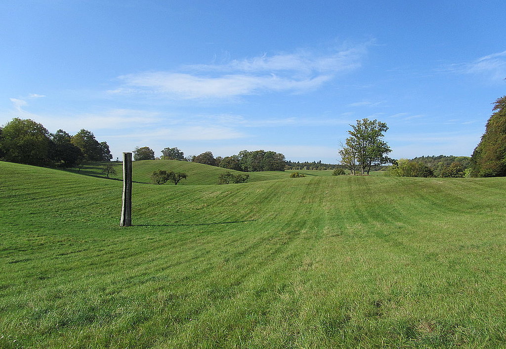 Parkland